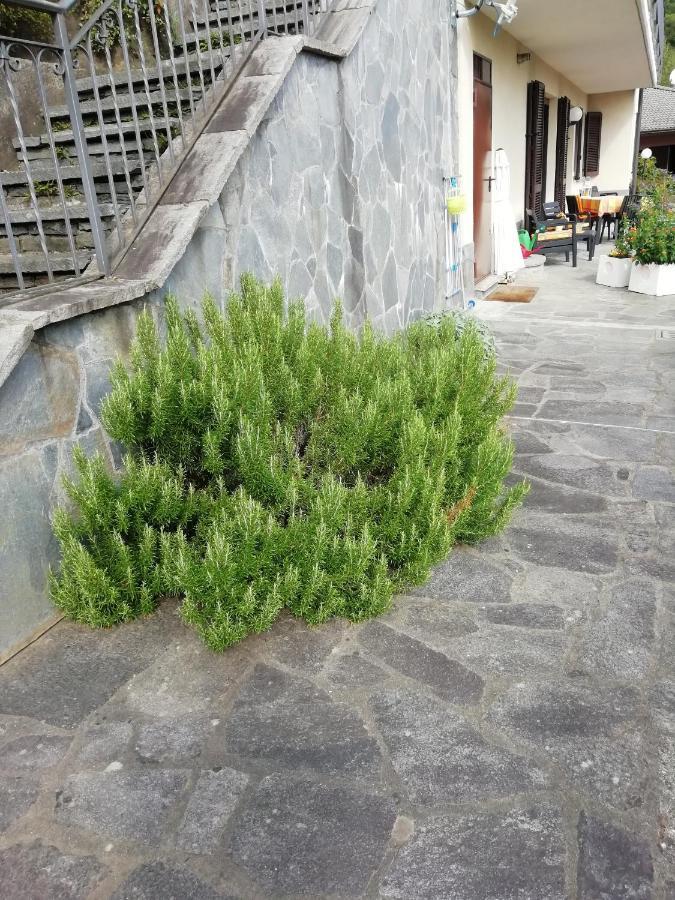 Villa Banfi ลาเวนา ปอนเต เตรซา ภายนอก รูปภาพ
