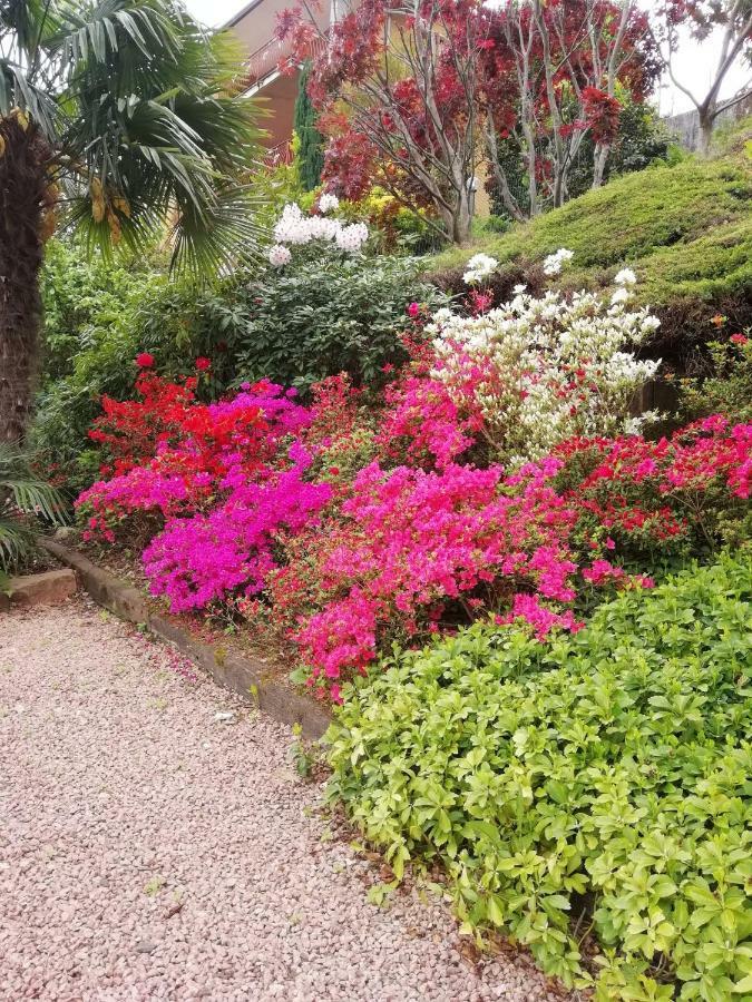 Villa Banfi ลาเวนา ปอนเต เตรซา ภายนอก รูปภาพ
